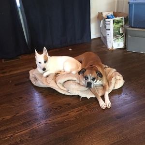 Meet your Posher, Kathy